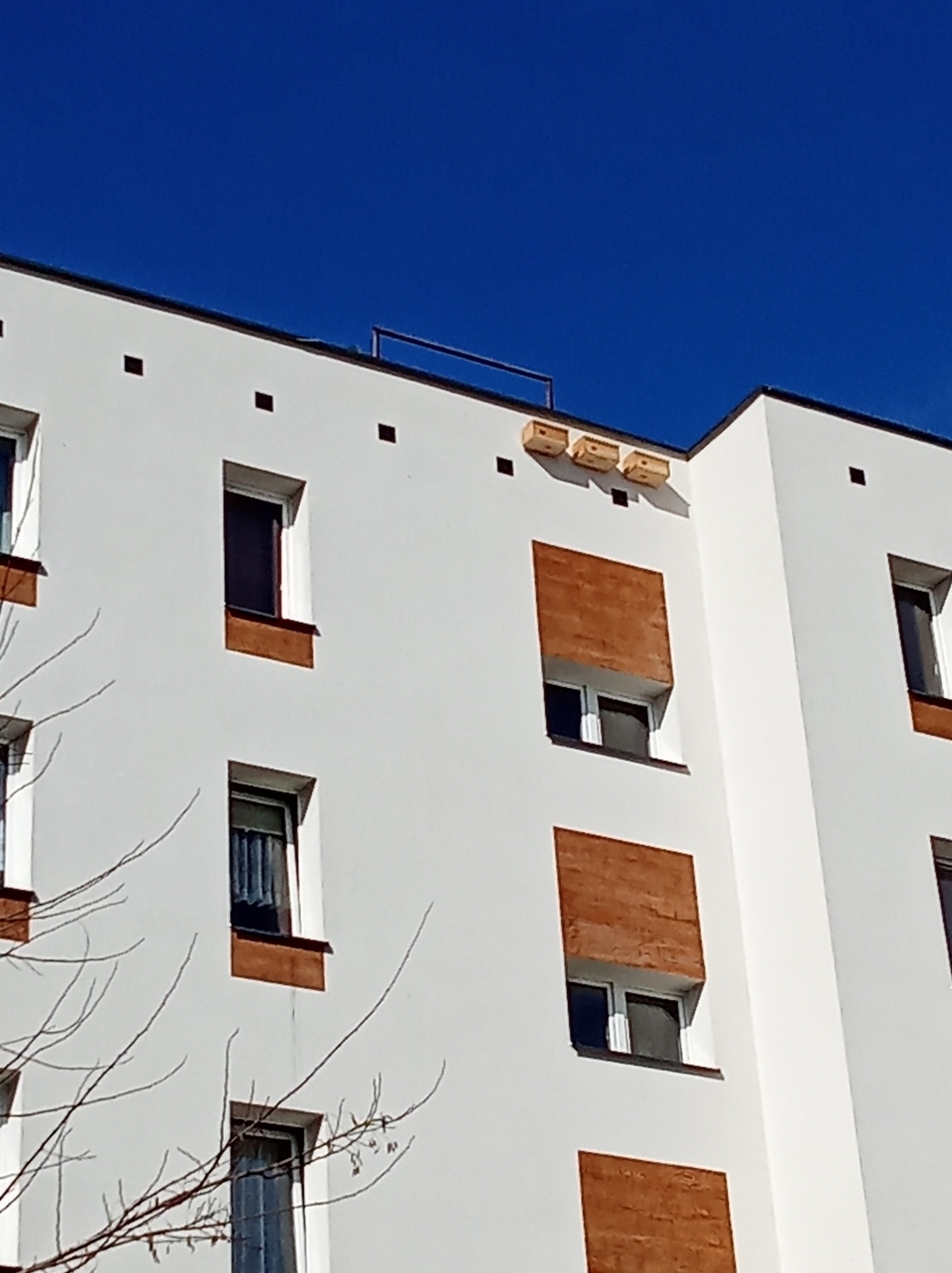 Biały budynek mieszkalny z zamontowanymi budkami lęgowymi dla ptaków na szczycie ściany, widoczne okna z brązowymi obramowaniami i błękitne niebo.