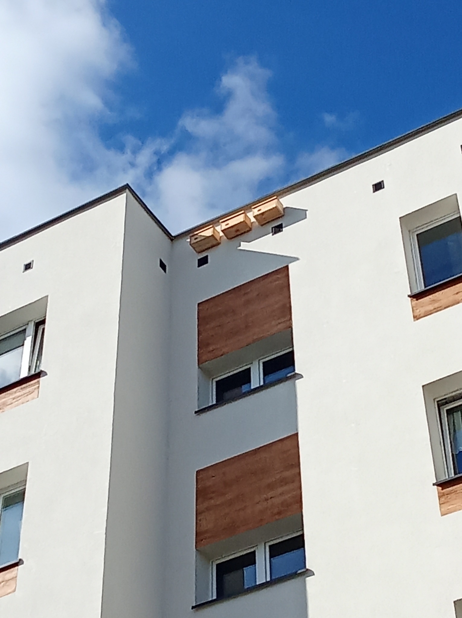 Biały budynek z drewnianymi elementami okiennymi i trzema budkami dla ptaków na dachu, na tle błękitnego nieba z chmurami. Ujęcie z dołu.