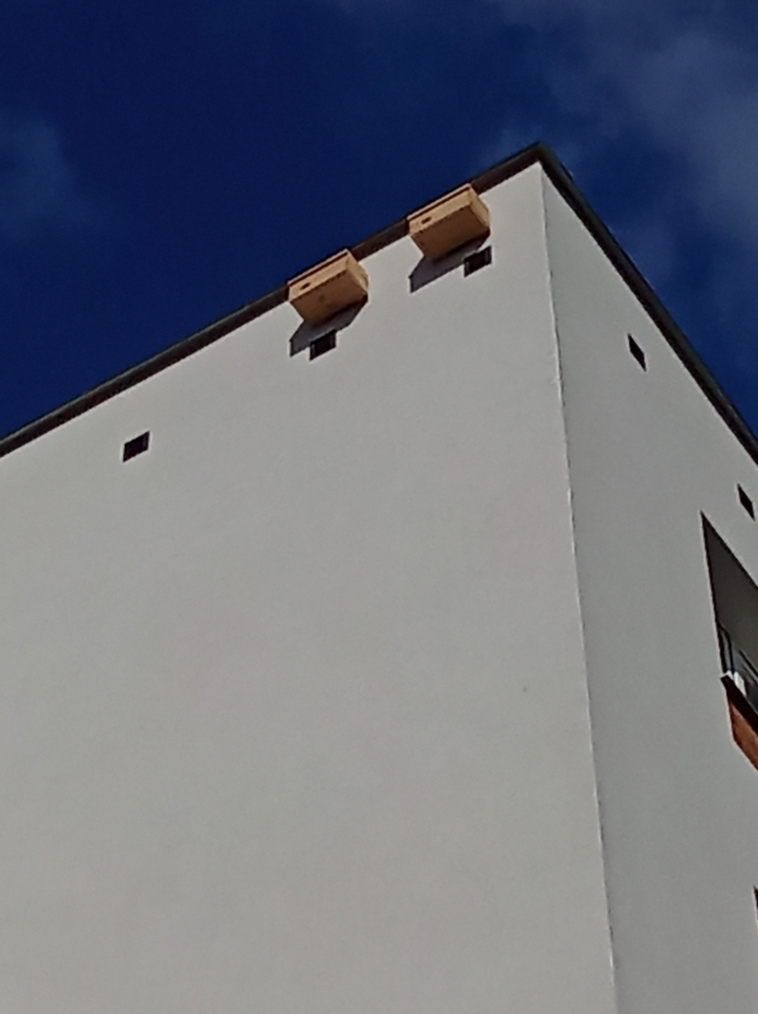 Biały narożnik budynku z drewnianymi budkami lęgowymi pod dachem, na tle błękitnego nieba. Widok z dołu, podkreślający architekturę i detale.