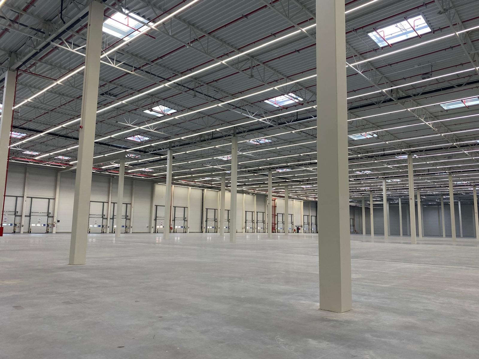 Wnętrze nowo wybudowanej, przestronnej hali z betonową posadzką, widoczne białe słupy nośne, szara konstrukcja dachu z oknami dachowymi i rzędami lamp, oraz segmentowe bramy wjazdowe po bokach.