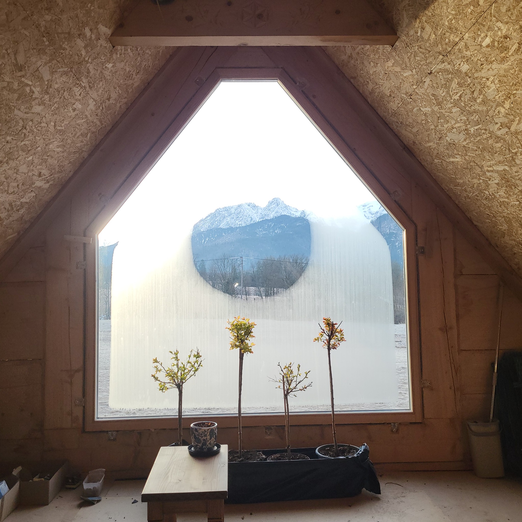 Poddasze z oknem w kształcie domu, przez które widać ośnieżone góry i zaśnieżone pole, a na parapecie stoją cztery małe drzewka w doniczkach.