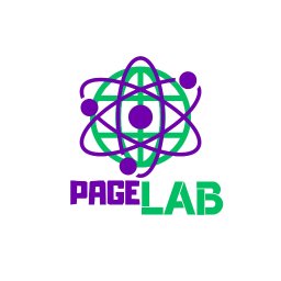 PAGELab - Dominik Pilis