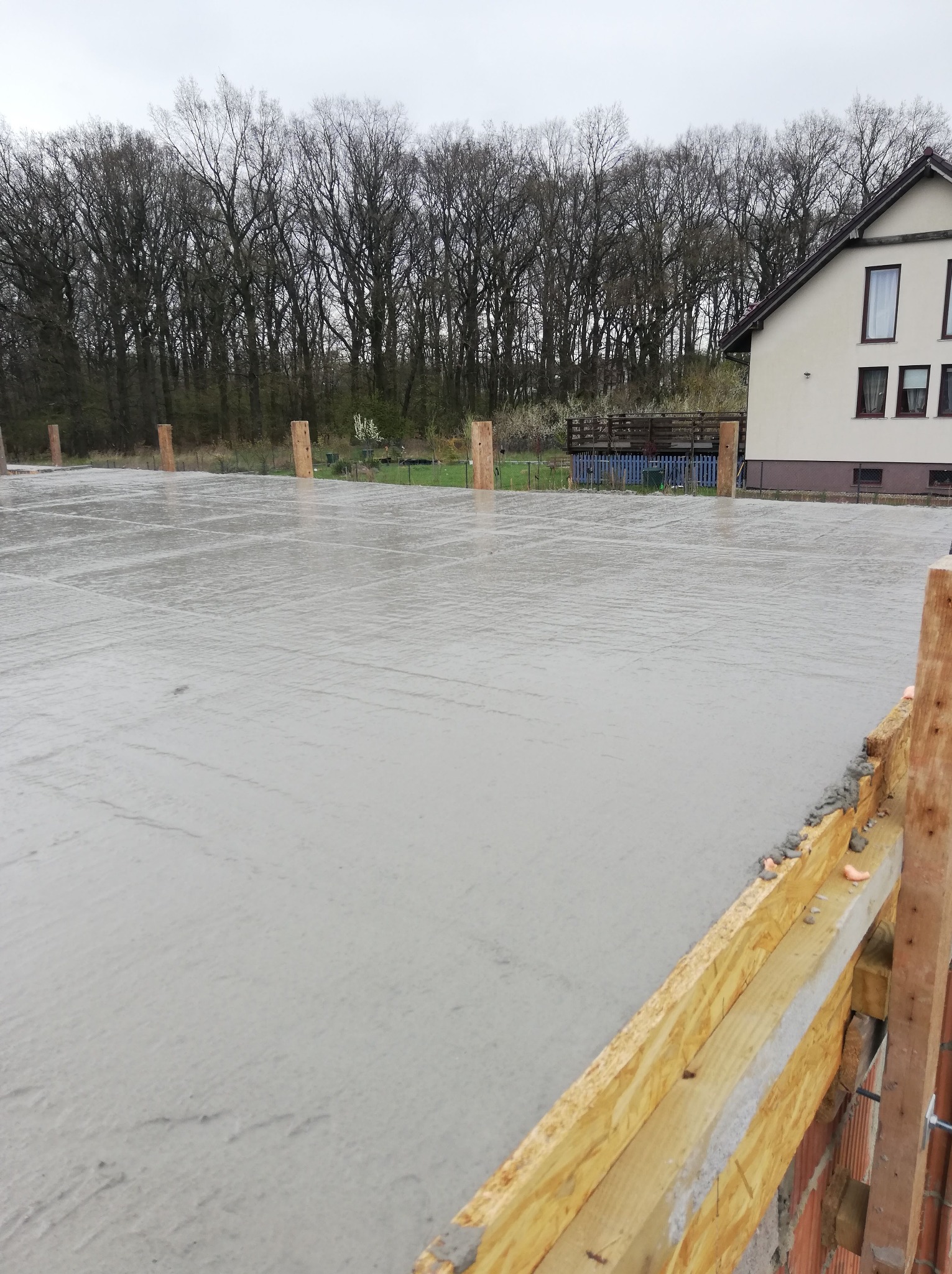 Świeżo wylana, mokra płyta fundamentowa z drewnianym szalunkiem, widoczne wystające drewniane słupki, w tle dom jednorodzinny i drzewa.