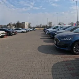 Rząd zaparkowanych samochodów różnych marek i kolorów na parkingu wypożyczalni, z widocznymi budynkami w tle i słupami oświetleniowymi.
