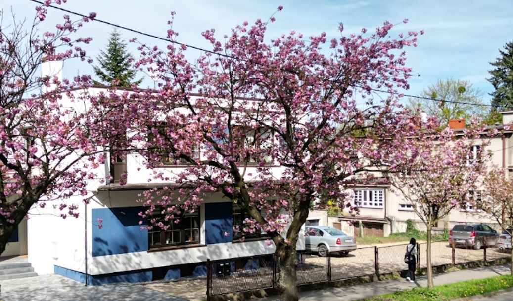 Siedziba naszego biura nieruchomości WOLF przy ulicy Wyszyńskiego w Tarnowskich Górach.