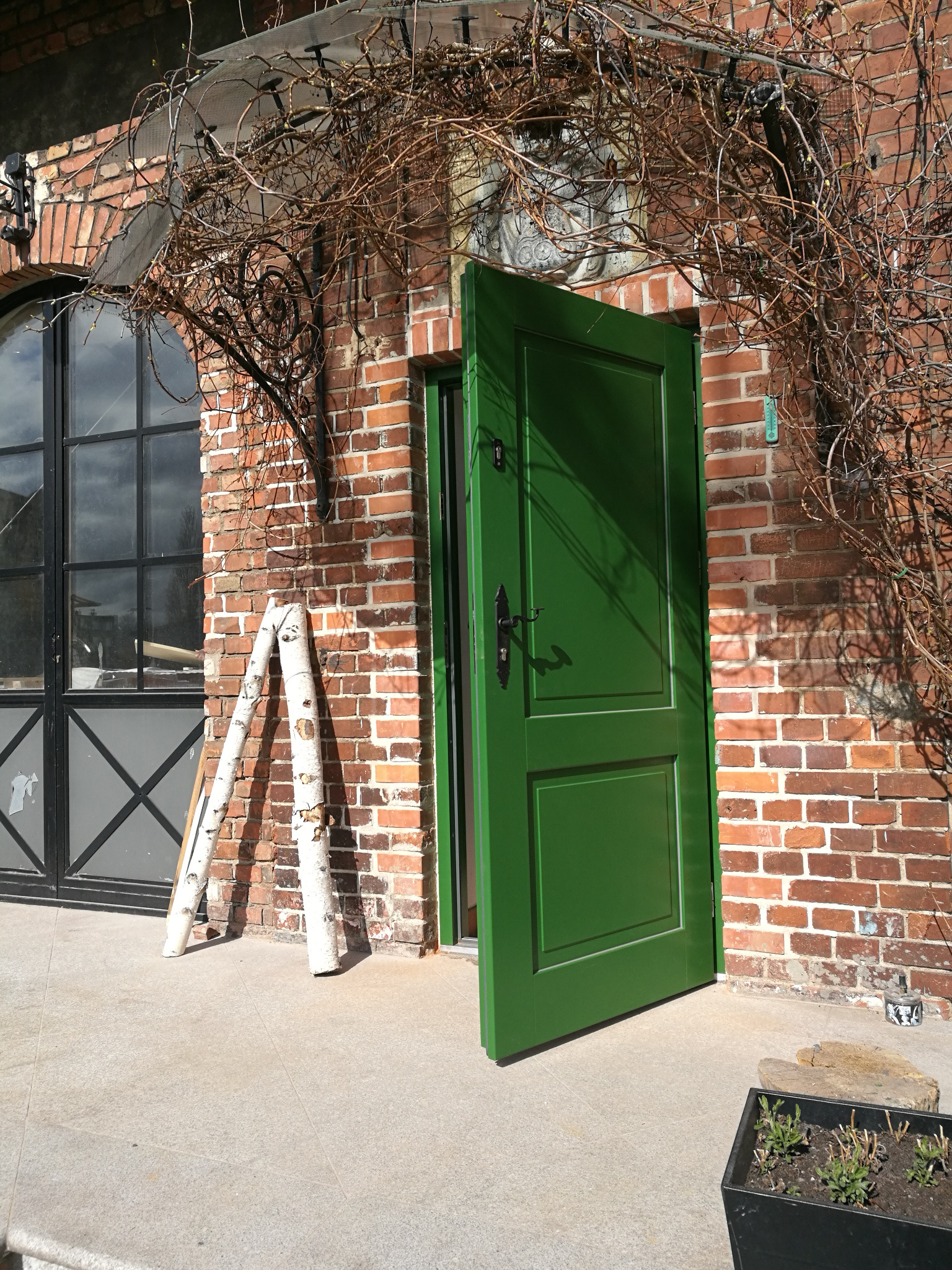 Otwarta, zielona stolarka drzwiowa w Wejherowie, z czarną klamką, na tle ceglanej ściany z pnącymi roślinami. Obok drzwi oparta drabina z pni brzozy.