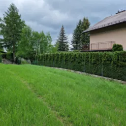 Zadbany ogród z równo przyciętym żywopłotem i wysoką trawą. W tle dom z beżową elewacją i brązowym balkonem. Pochmurne niebo nadaje spokojny charakter.