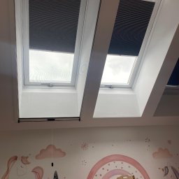 Plisy M&M - Moskitiery do okien dachowych – Rolowane i plisowane, idealne na poddasze.