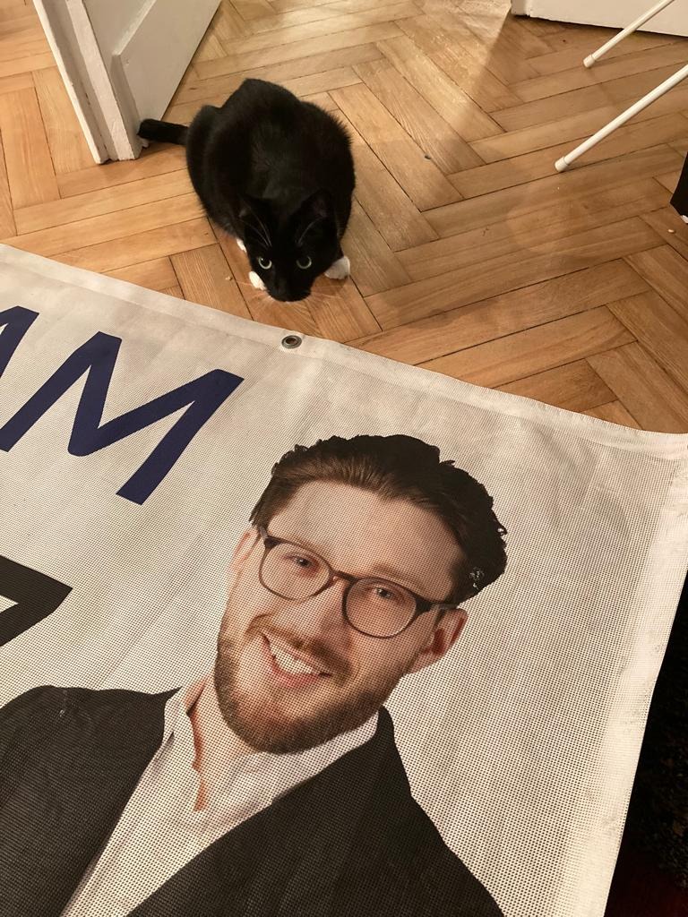 Czarny kot z białymi łapkami siedzi na drewnianej podłodze obok baneru reklamowego z uśmiechniętym mężczyzną w okularach i garniturze.