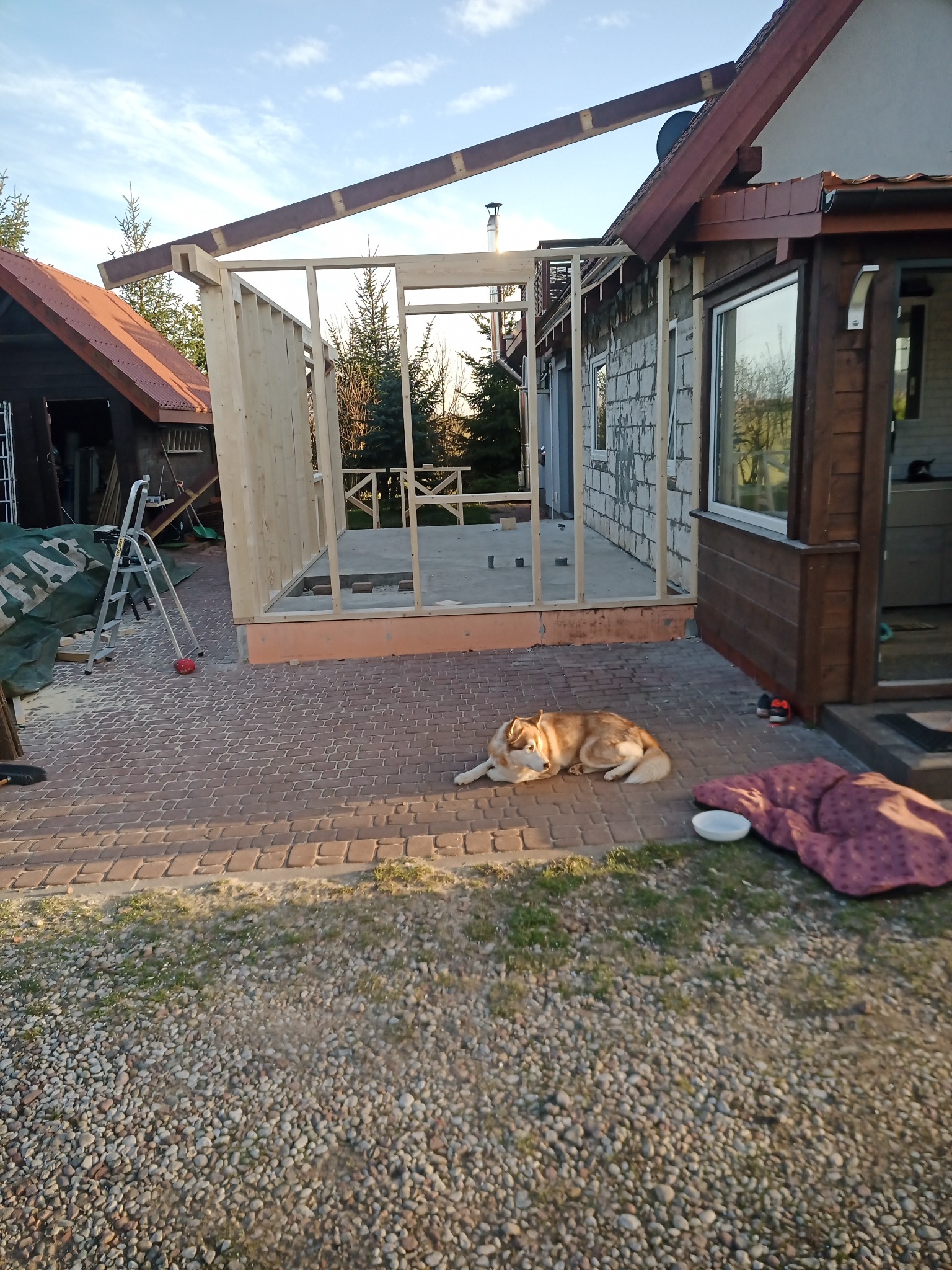 Wczesna faza budowy domu szkieletowego z widoczną drewnianą konstrukcją, leżącym psem husky na pierwszym planie oraz częściowo otynkowanym budynkiem w tle.