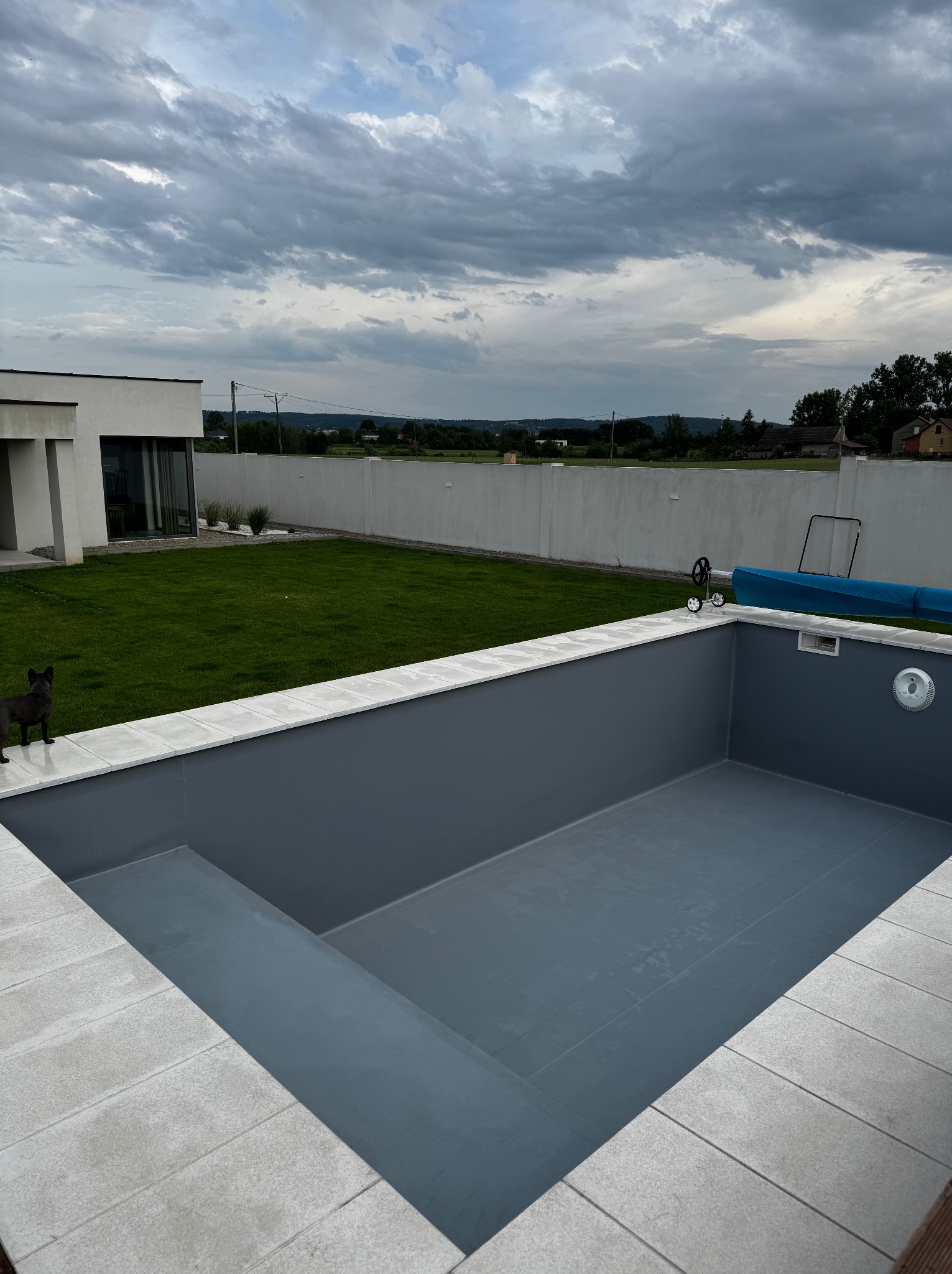 Nowoczesny, pusty basen z szarą niecką i jasnymi płytami na obrzeżach, na tle zadbanego trawnika, białego muru i pochmurnego nieba. Pies w lewym dolnym rogu.