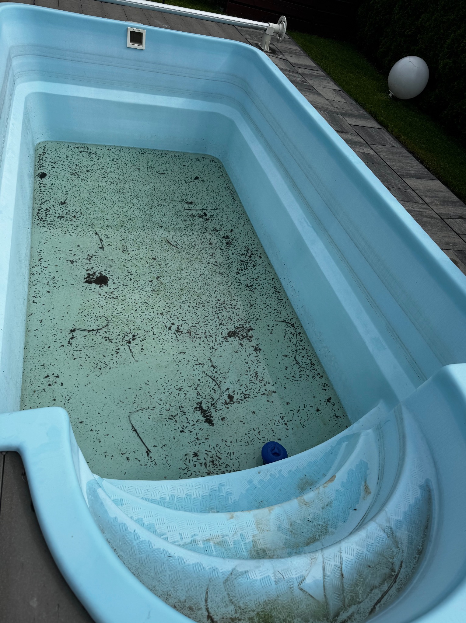 Zanieczyszczony, niebieski basen ogrodowy z zielonkawą wodą pełną zanieczyszczeń, widoczne schodki i niebieski pływak. Tło: trawnik i lampa ogrodowa.