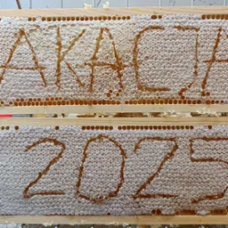 Ramka pszczela z napisem 'AKACJA 2025' wykonanym z miodu, widoczne drobne komórki plastra miodu i drewniana konstrukcja ramki. Jasne tło.