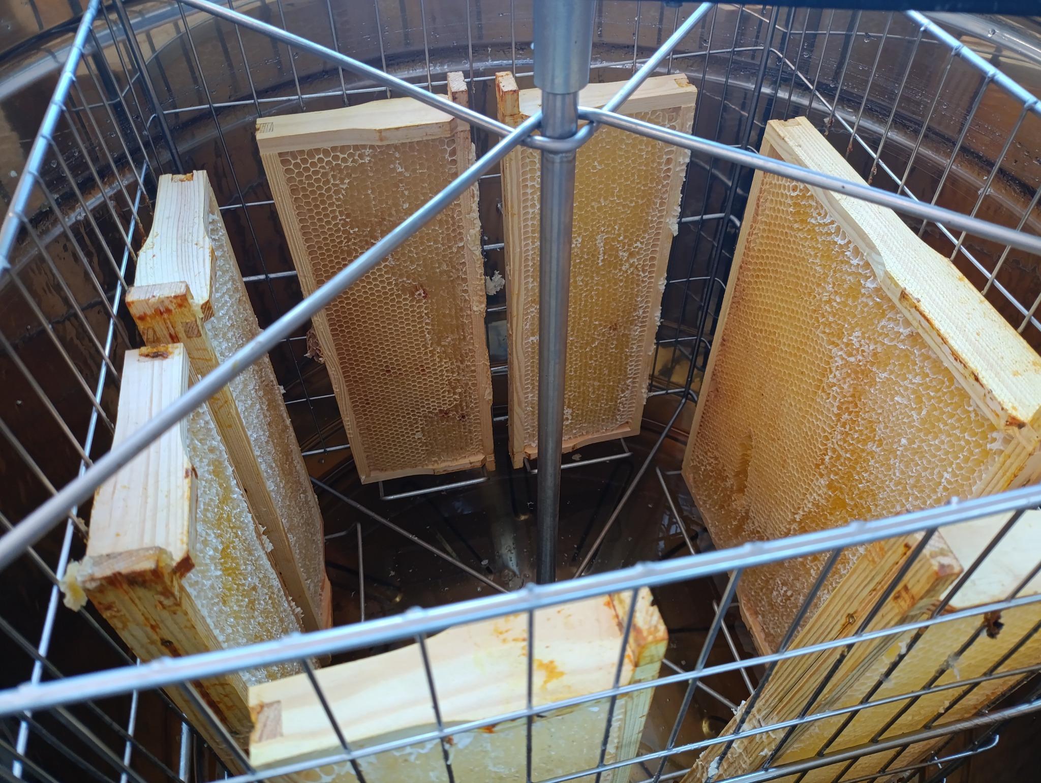 Ramki z miodem w miodarce radialnej, gotowe do wirowania. Widoczne komórki wypełnione miodem, drewniane ramki i metalowa konstrukcja miodarki.