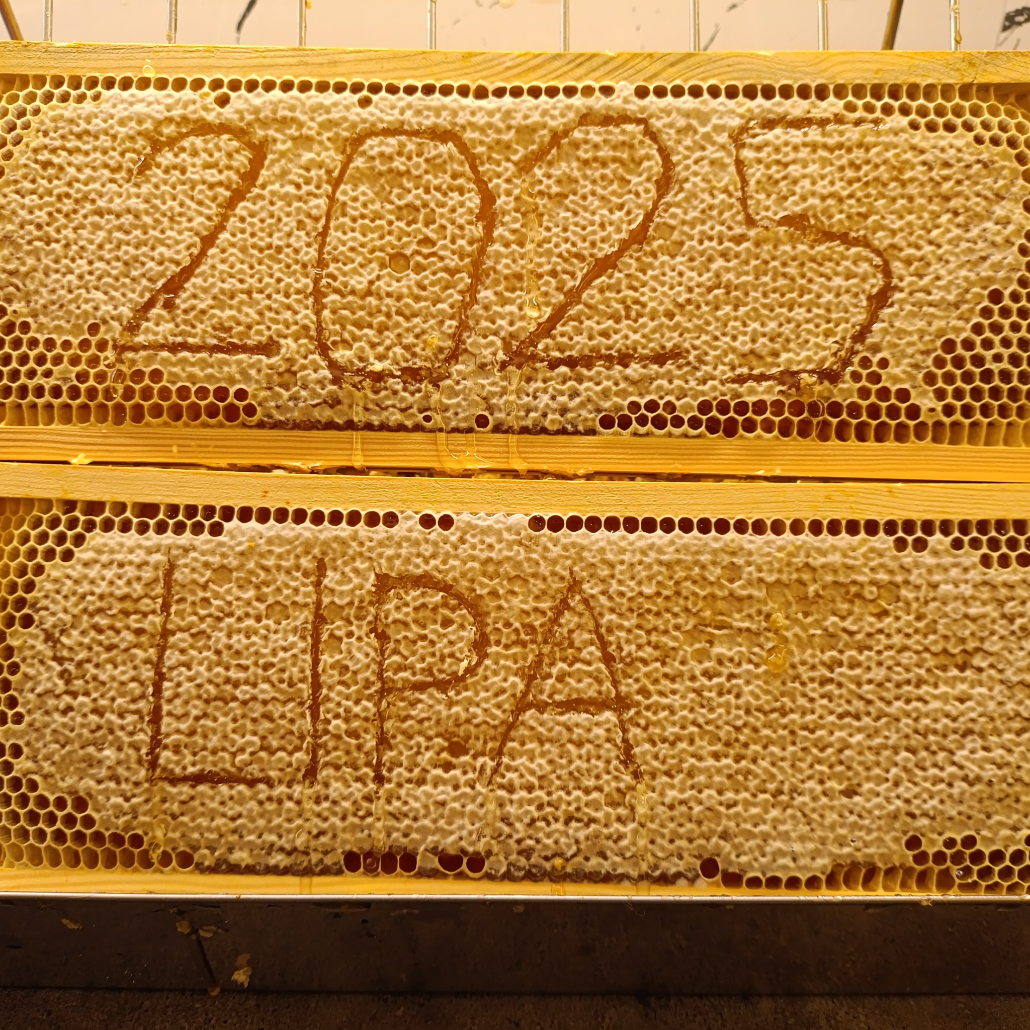 Plaster miodu lipowego w ramce z napisem '2023' uformowanym z miodu. Widoczne nieregularne komórki plastra i krople miodu.