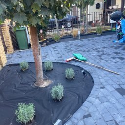 Pielęgnacja ogrodów Piaseczno 2