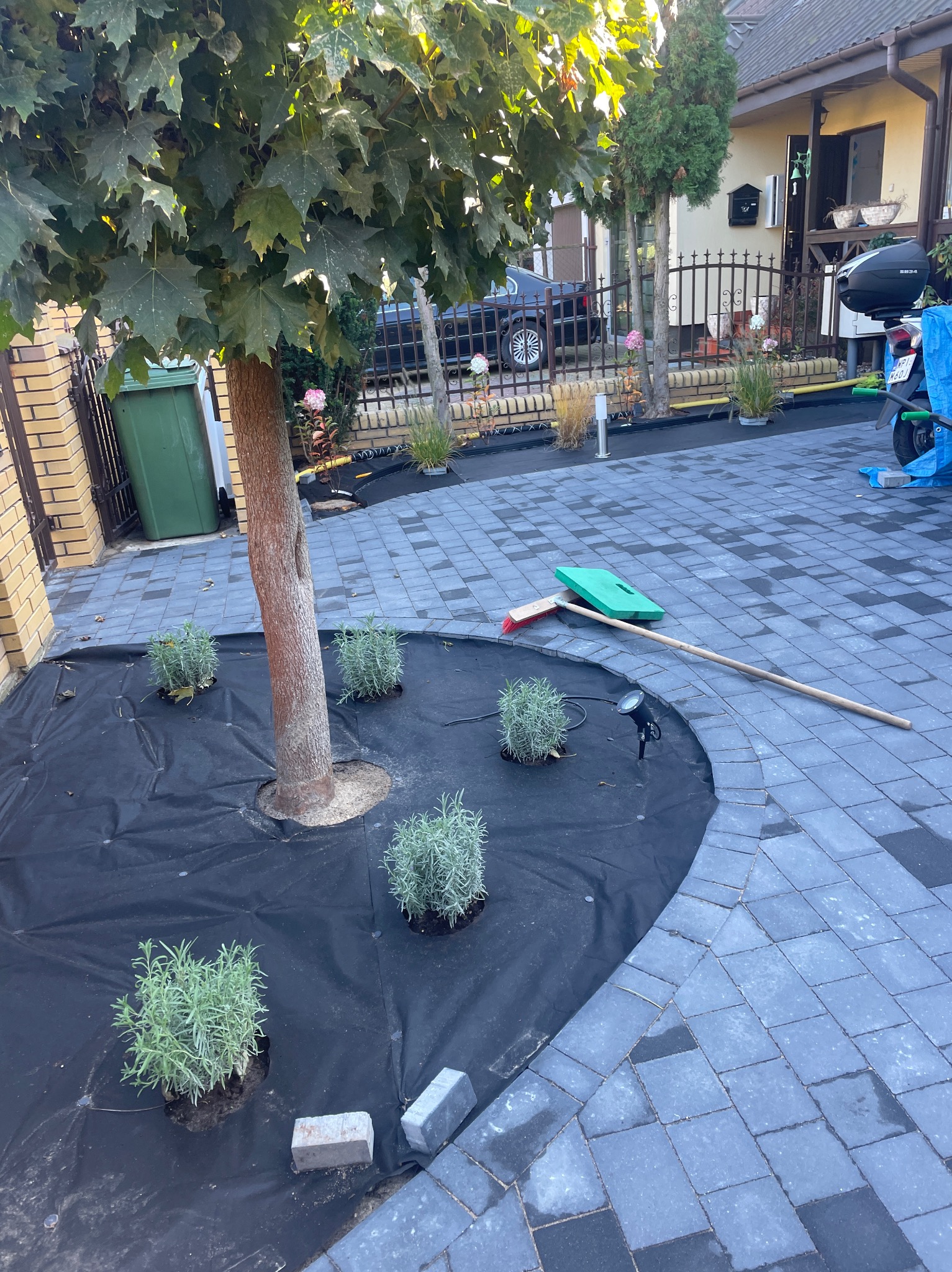 Nasadzenia wokół drzewa na wyłożonym kostką podwórku, widoczne rośliny w doniczkach, czarna agrowłóknina, lampa ogrodowa i miotła.