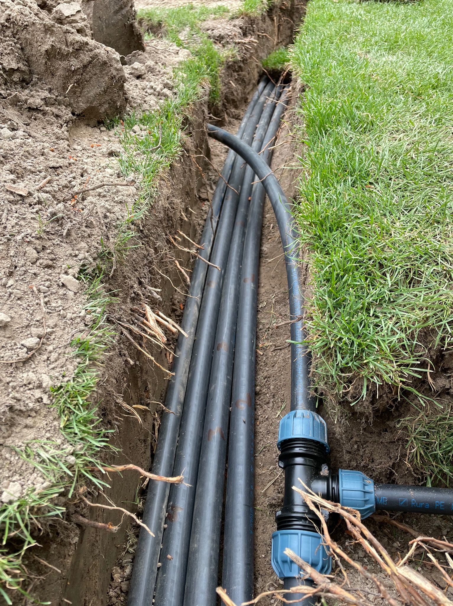 Wąski wykop w trawniku z ułożonymi rzędami czarnych rur z niebieskimi złączkami, tworzącymi system nawadniania.