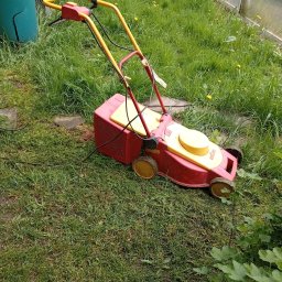 hilfe fur hause und.garten - Czerwono-żółta kosiarka elektryczna Wolf-Garten na trawie, z widocznymi elementami sterującymi i kablem zasilającym. W tle zielony pojemnik i fragment szklarni.