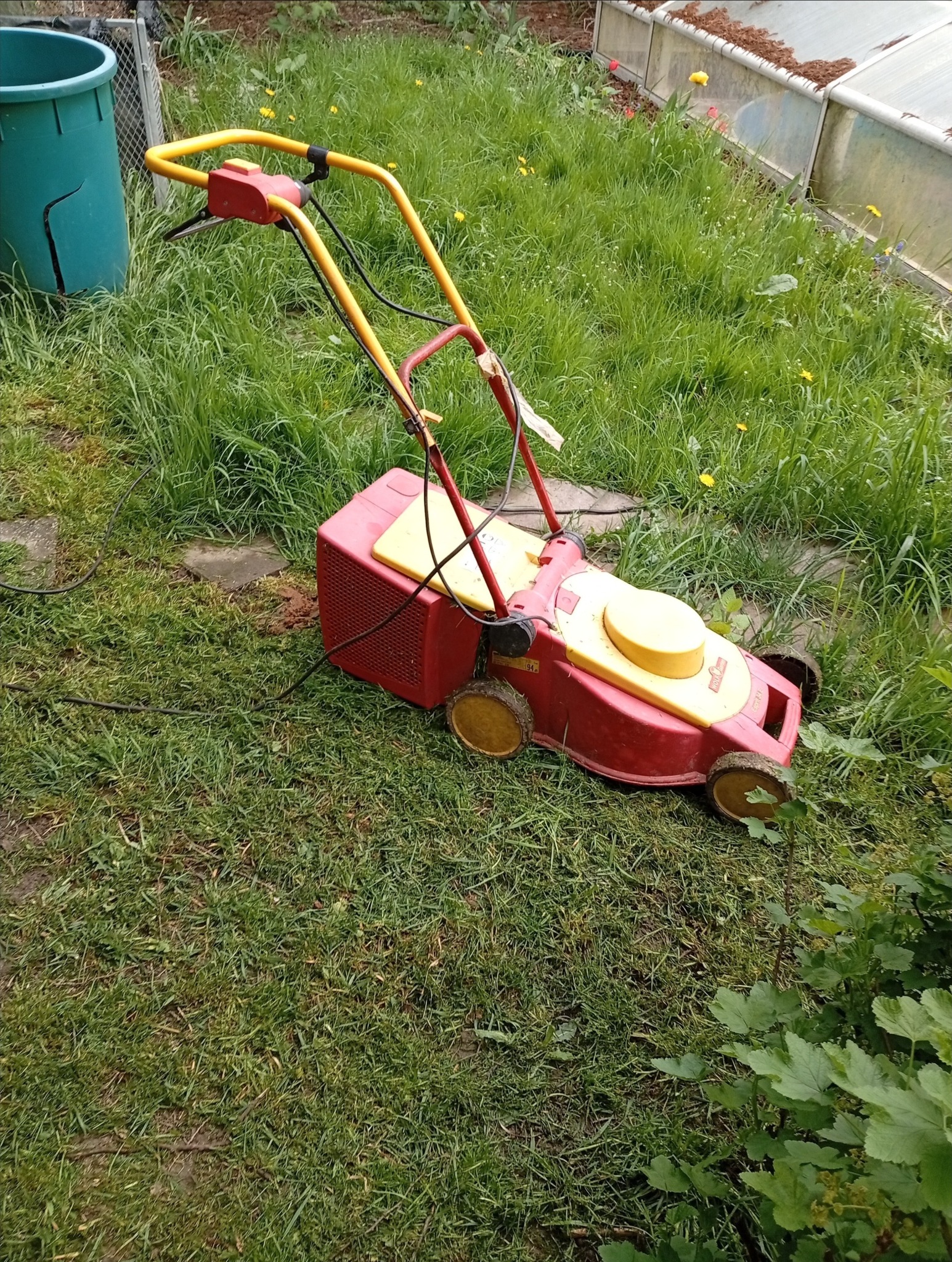 Czerwono-żółta kosiarka elektryczna Wolf-Garten na trawie, z widocznymi elementami sterującymi i kablem zasilającym. W tle zielony pojemnik i fragment szklarni.