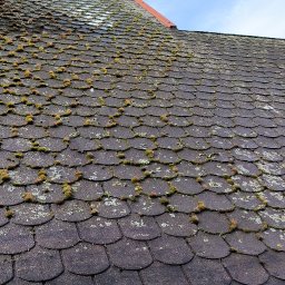 G&G SHOP MARZENA GRYGORUK - Zarośnięty mchem dach z dachówki bitumicznej, z widocznym oknem dachowym i niebieską liną. Dach wymaga czyszczenia, widoczne zabrudzenia biologiczne.