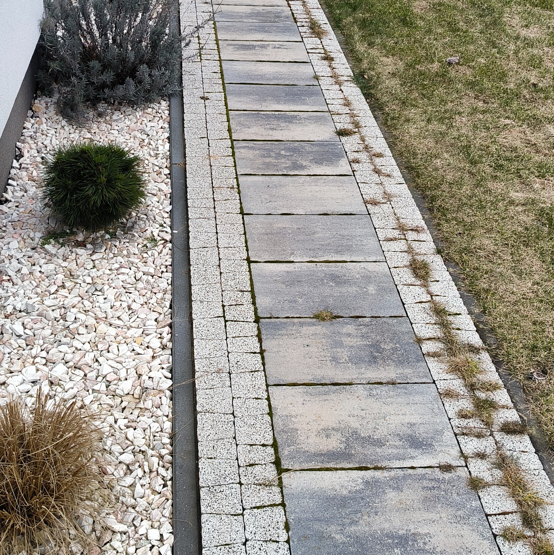 Ułożona ścieżka z szarych płyt betonowych obramowana jasną kostką, z widocznymi chwastami między kostkami, obok rabata z białym żwirem i roślinami ozdobnymi.