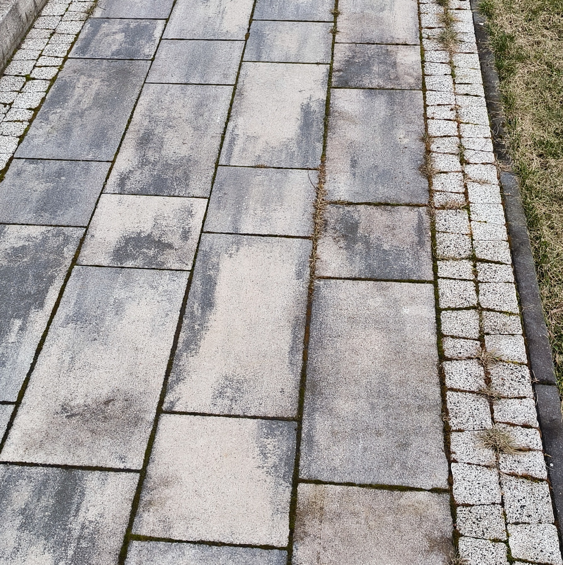 Szara kostka brukowa ułożona wzdłuż trawnika, z widocznymi śladami zabrudzeń i mchu w fugach.