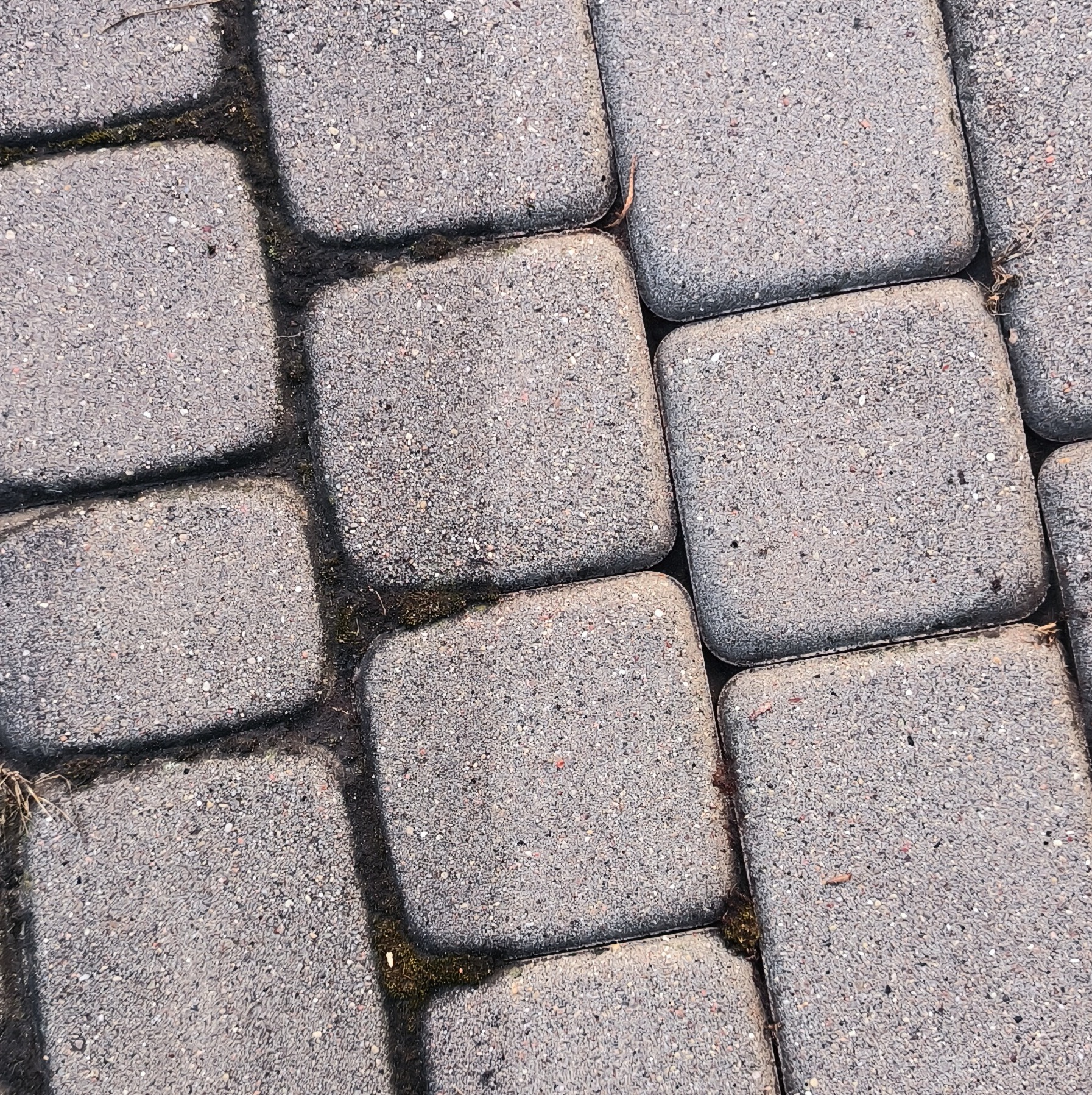 Szare, kwadratowe kostki brukowe ułożone blisko siebie, z widocznymi drobnymi chwastami i resztkami organicznymi w spoinach.