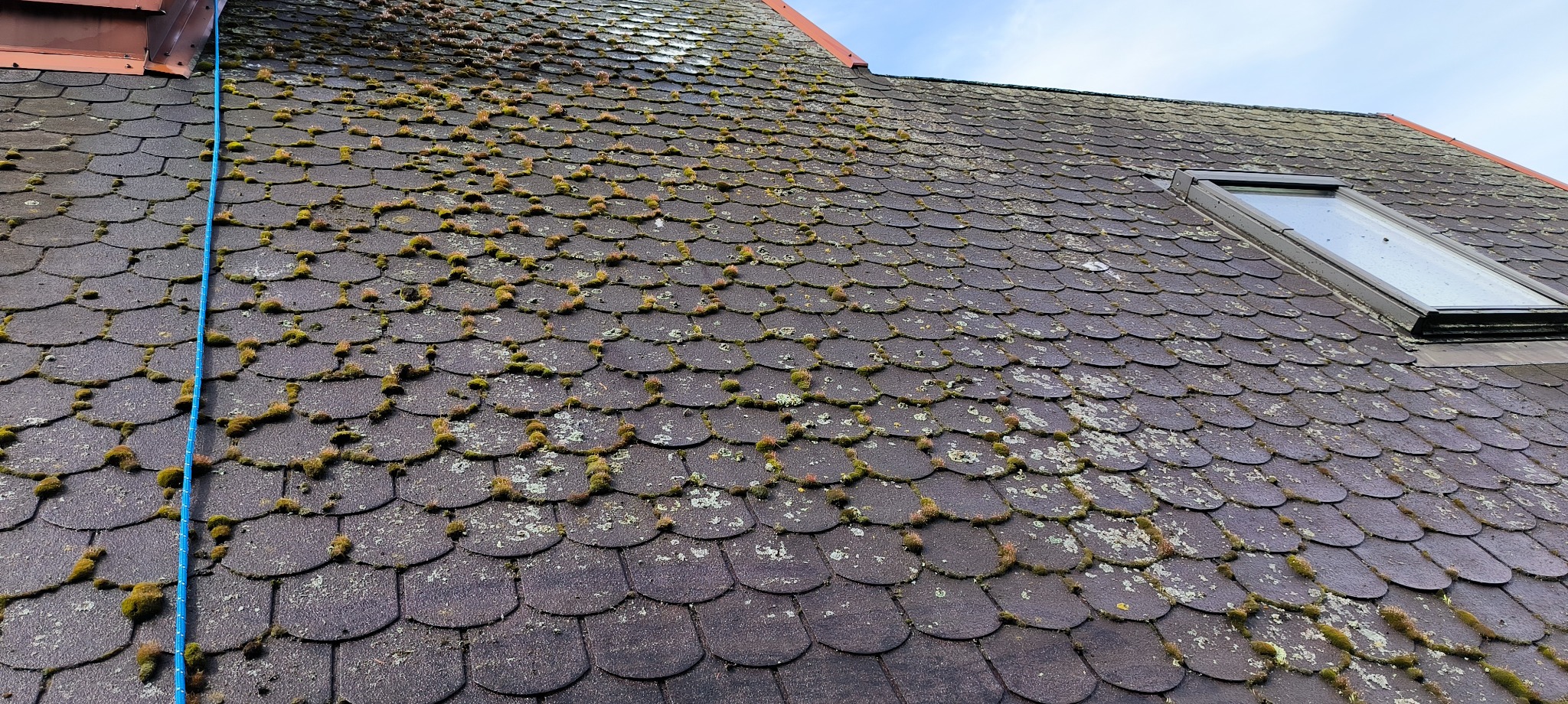 Zarośnięty mchem dach z dachówki bitumicznej, z widocznym oknem dachowym i niebieską liną. Dach wymaga czyszczenia, widoczne zabrudzenia biologiczne.
