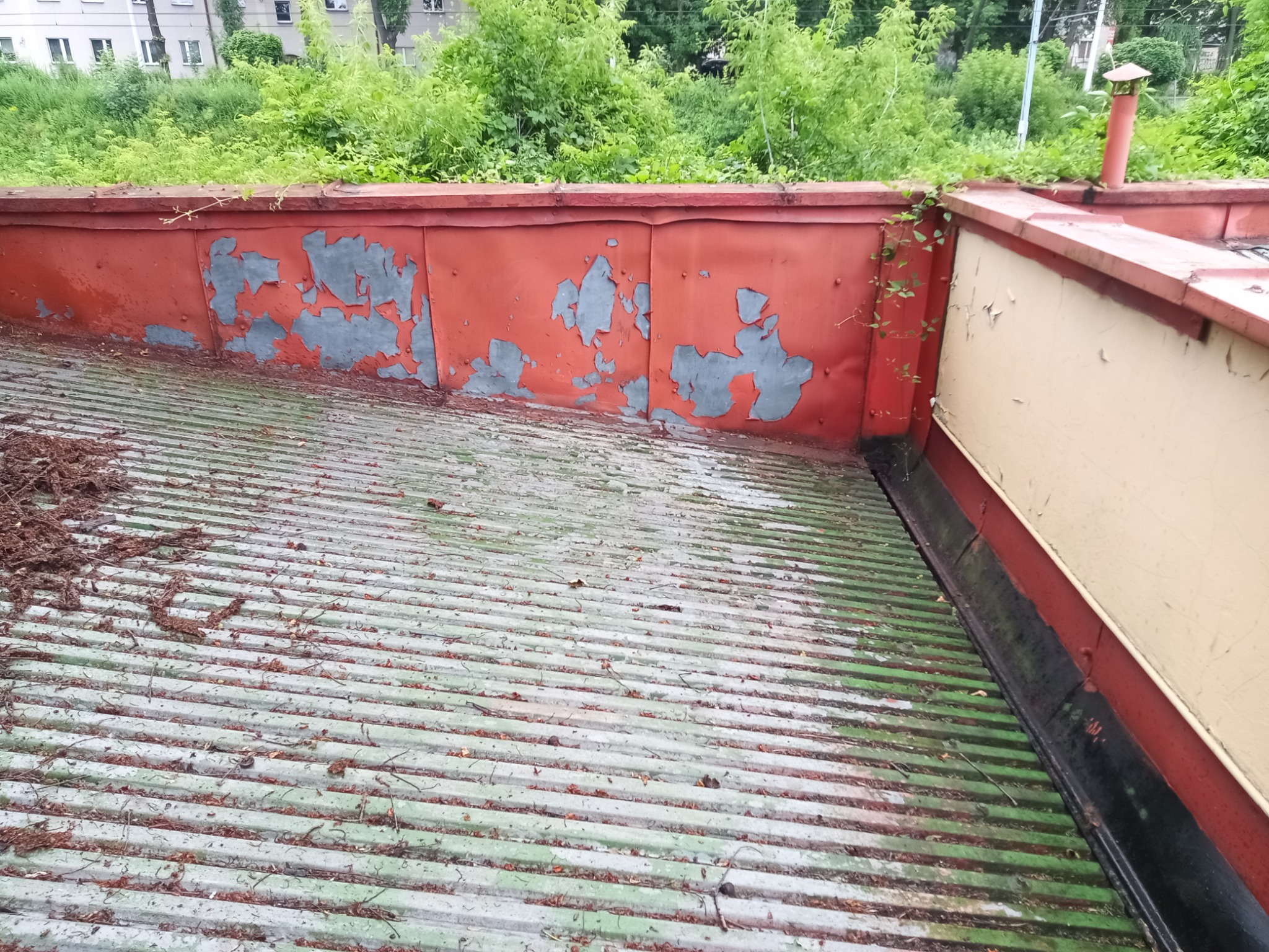Falista blacha na dachu z odpadającą farbą i resztkami roślin. Czerwona ściana attykowa z łuszczącą się farbą. W tle zieleń i budynki.