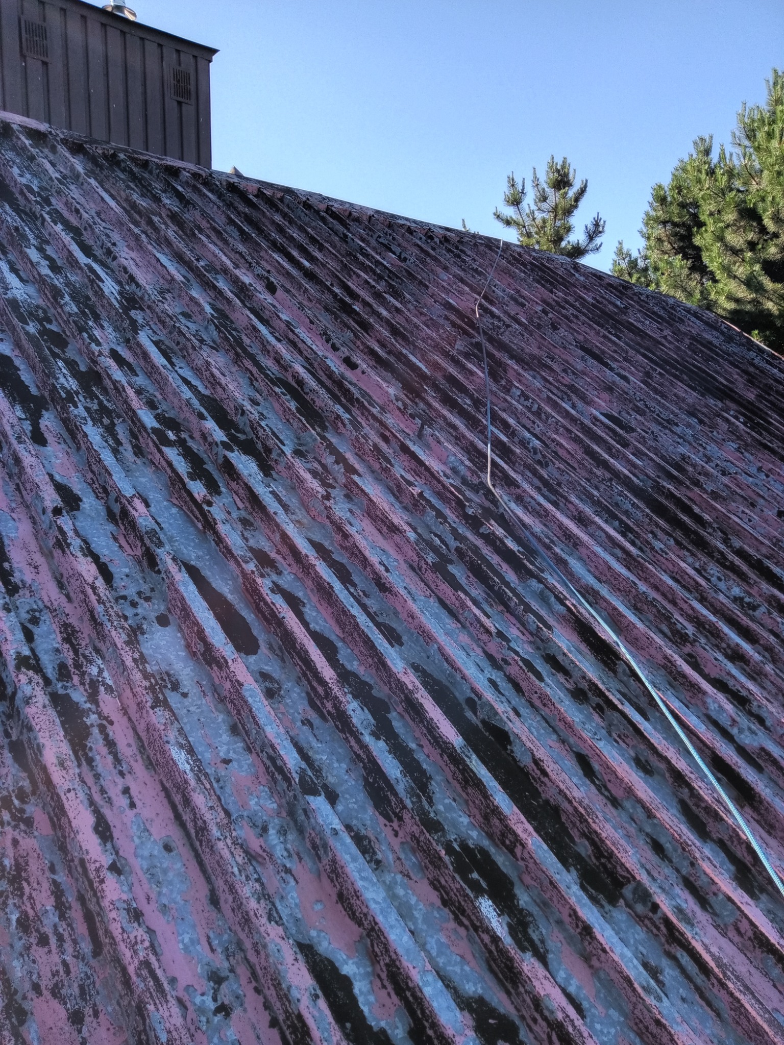 Pordzewiały, blaszany dach z resztkami różowej farby, widziany pod kątem. W tle fragment komina i drzewa iglaste na tle błękitnego nieba.