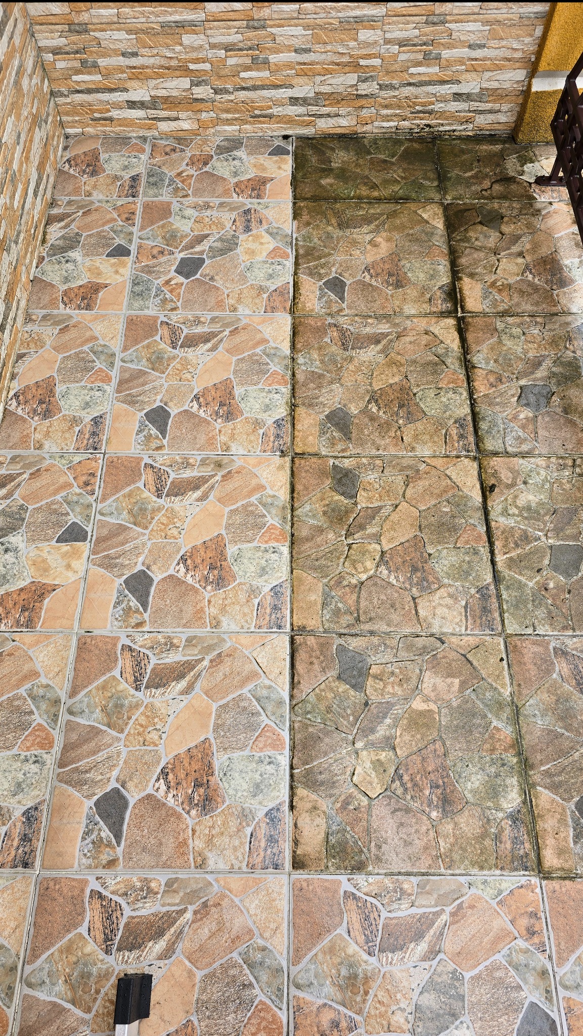 Płytki podłogowe z kamiennym wzorem, część wyczyszczona, część pokryta brudem i mchem. Efekt czyszczenia widoczny na połowie powierzchni.