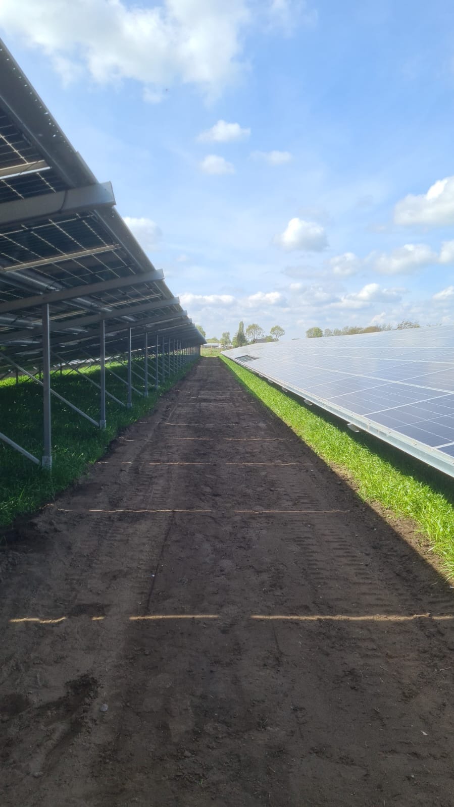Rząd paneli słonecznych zamontowanych na metalowych konstrukcjach, widok z perspektywy gruntu z widocznymi śladami opon na ziemi i trawie, błękitne niebo z chmurami w tle.