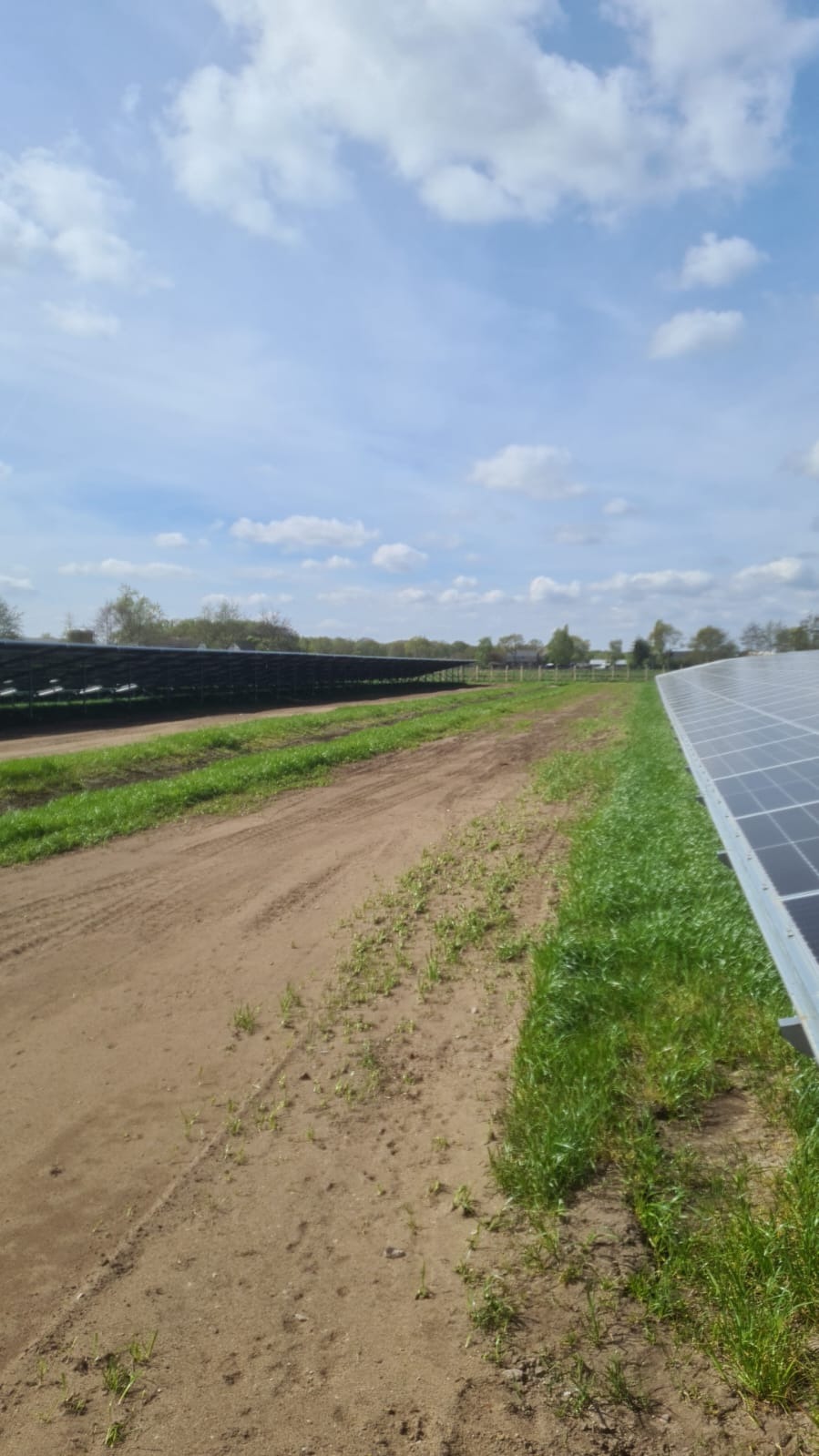 Rozległa instalacja paneli słonecznych na polu, widoczne rzędy paneli, ziemista droga i fragment błękitnego nieba z chmurami.