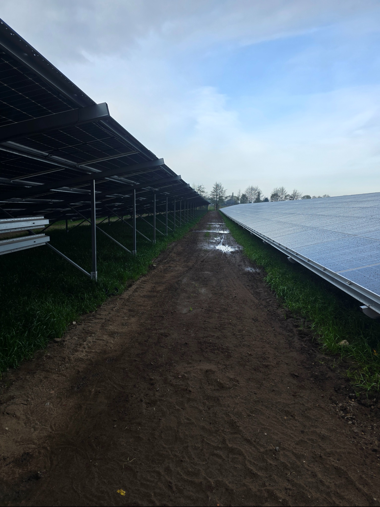 Długi rząd paneli słonecznych, widok z poziomu gruntu na błotnistą ścieżkę między rzędami, krople wody na panelach, pochmurne niebo w tle.