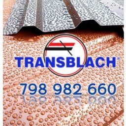 Katarzyna Transblach - Blacha Lubin