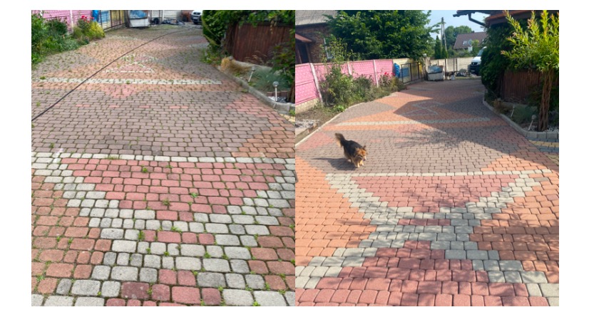 Porównanie dwóch części podjazdu z kostki brukowej: po lewej stronie kostka jest brudna z widocznymi chwastami, po prawej kostka jest czysta, a po niej spaceruje pies.