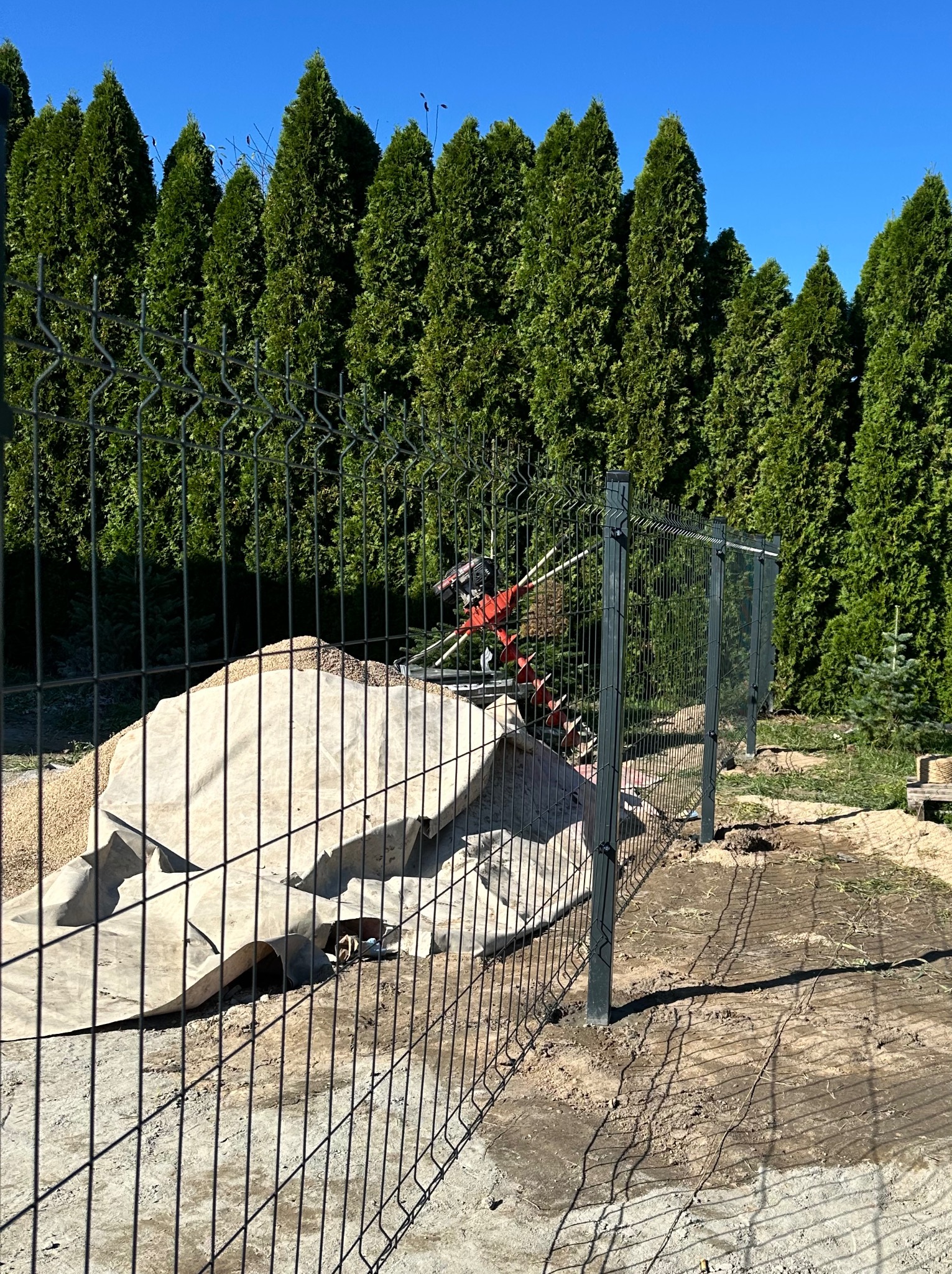 Montaż panelowego ogrodzenia na tle wysokich tuj. Widoczne słupki i panele w trakcie instalacji, ziemia i narzędzia. Prace w toku, słoneczny dzień.