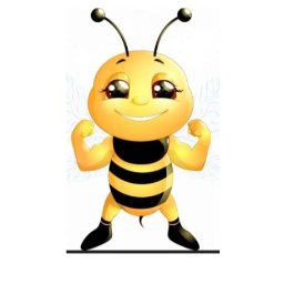 Szybka Pszczółka - Czyszczenie Dywanów Warszawa