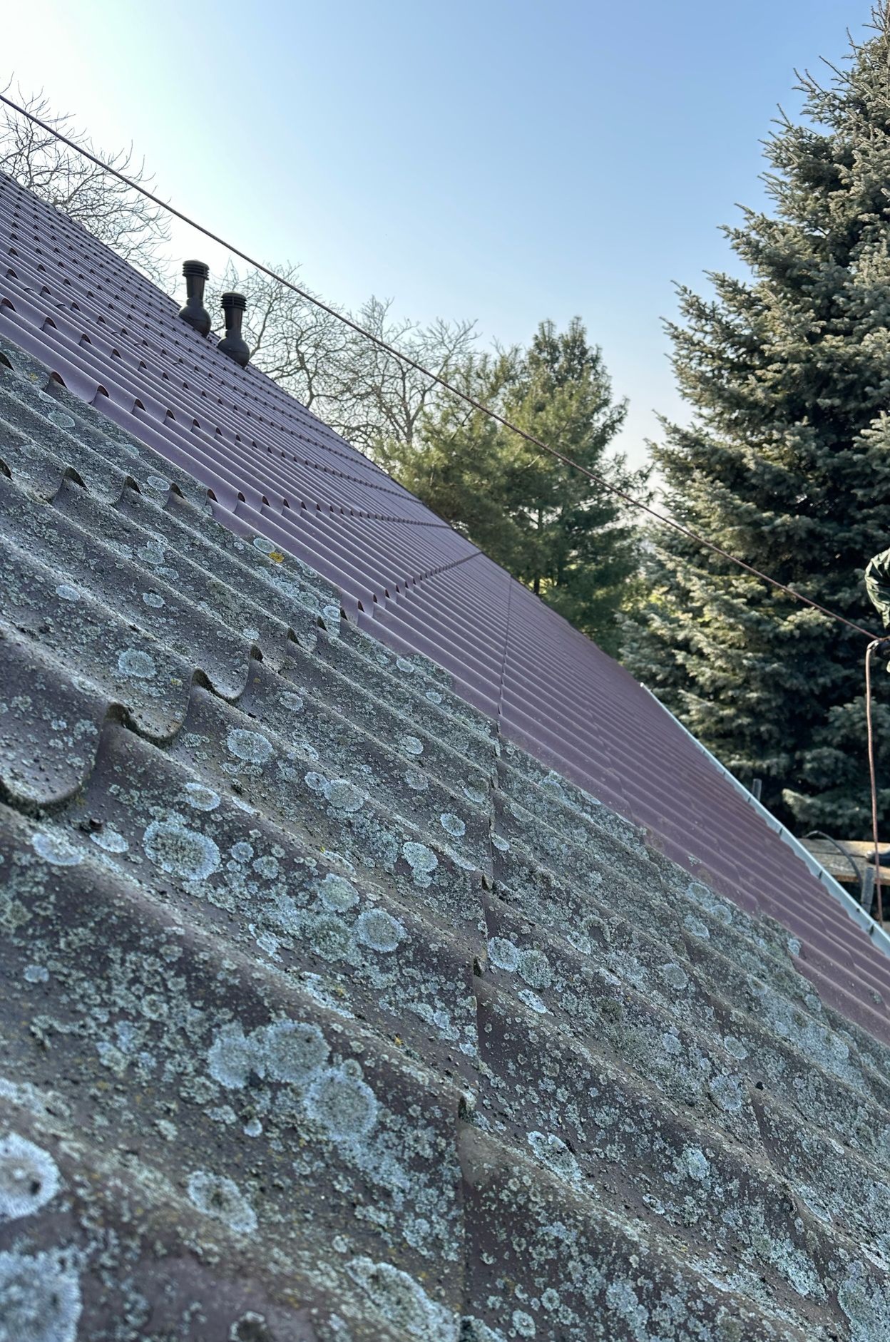 Częściowo oczyszczony, falisty dach z blachy w kolorze bordowym, z widocznym porostem mchów i glonów, kontrastujący z czystą, odnowioną powierzchnią.