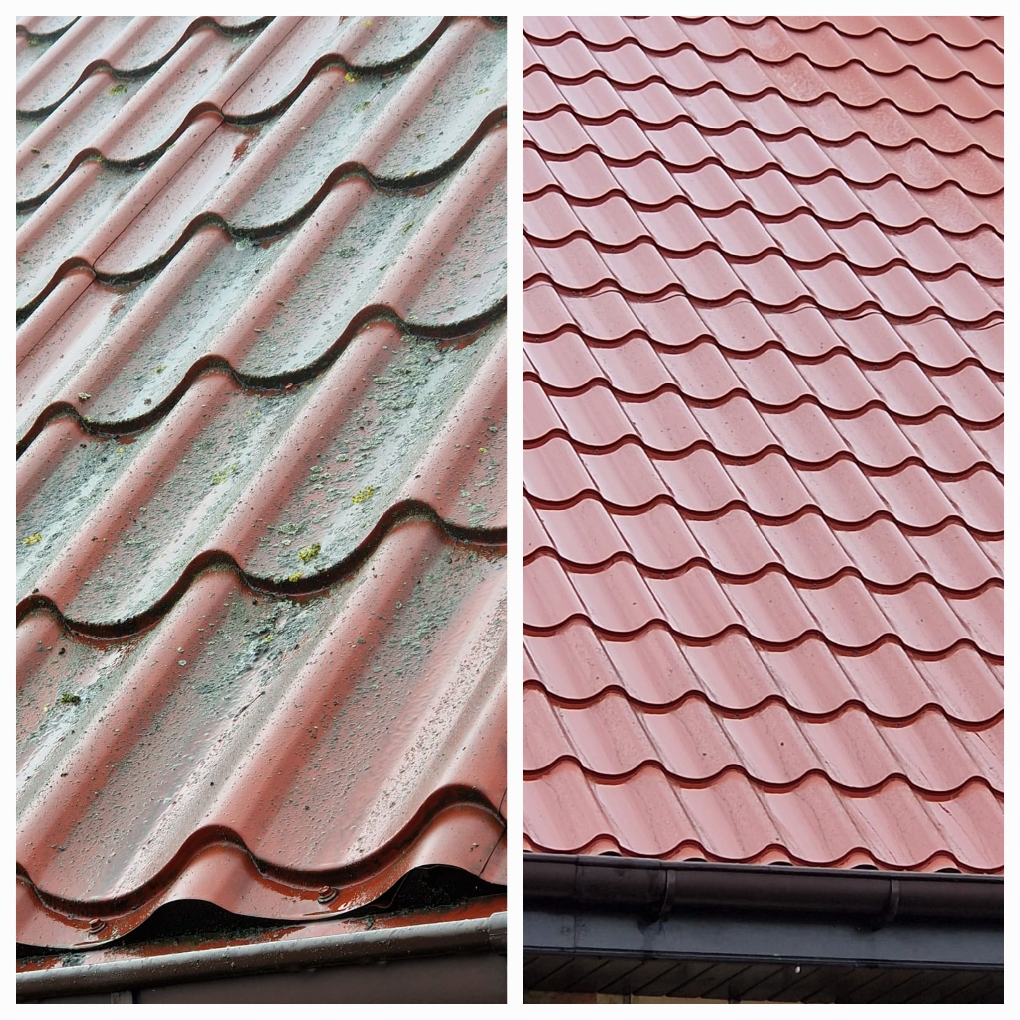Porównanie dachu z blachodachówki przed i po czyszczeniu. Po lewej dach pokryty mchem i zabrudzeniami, po prawej czysty, odświeżony dach z widoczną rynną.