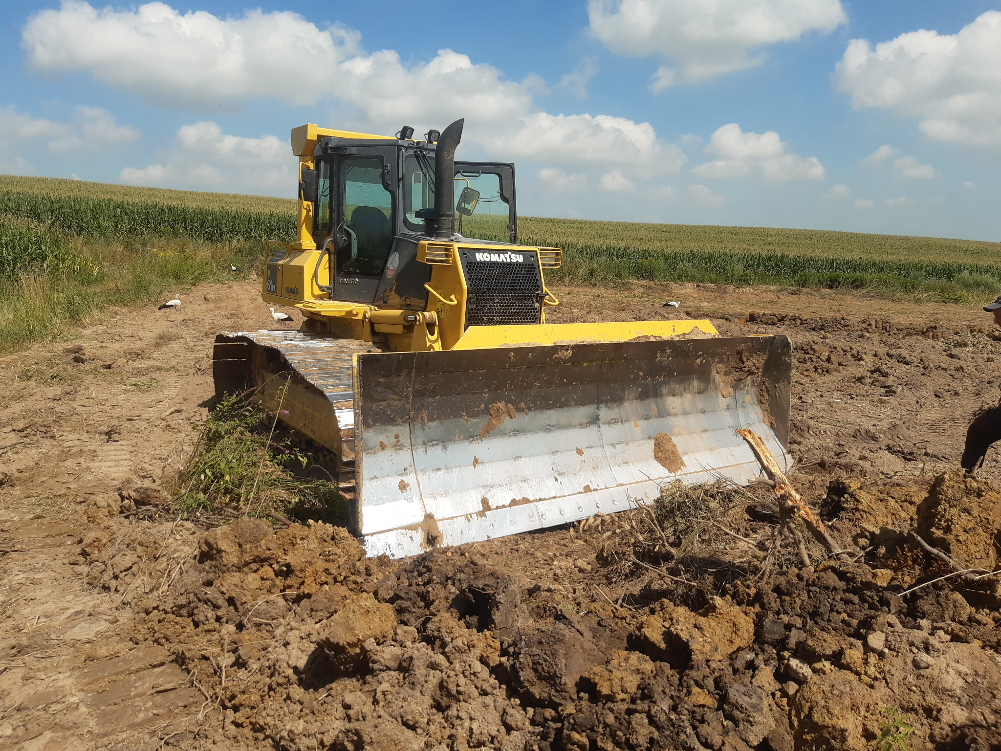 Żółty spychacz Komatsu na polu z uprawami w tle, podczas prac ziemnych. Widoczne świeżo przekopane grudy ziemi i ślady gąsienic. Niebo błękitne z białymi chmurami.