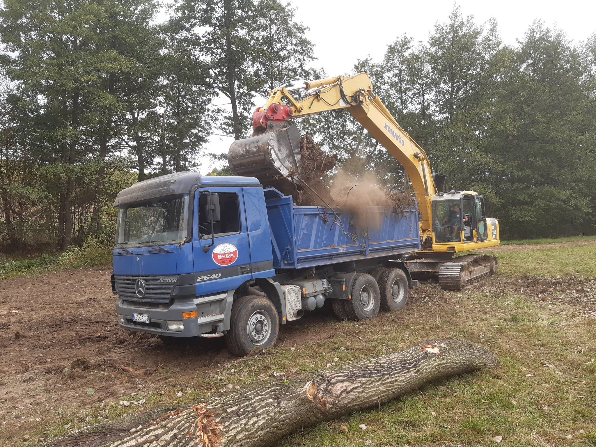 Żółta koparka Komatsu ładuje ziemię i korzenie do niebieskiej ciężarówki Mercedes Actros 2640 na tle drzew. Wywóz ziemi z wykopu.