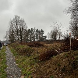 Niwelacja terenu Bochnia 1