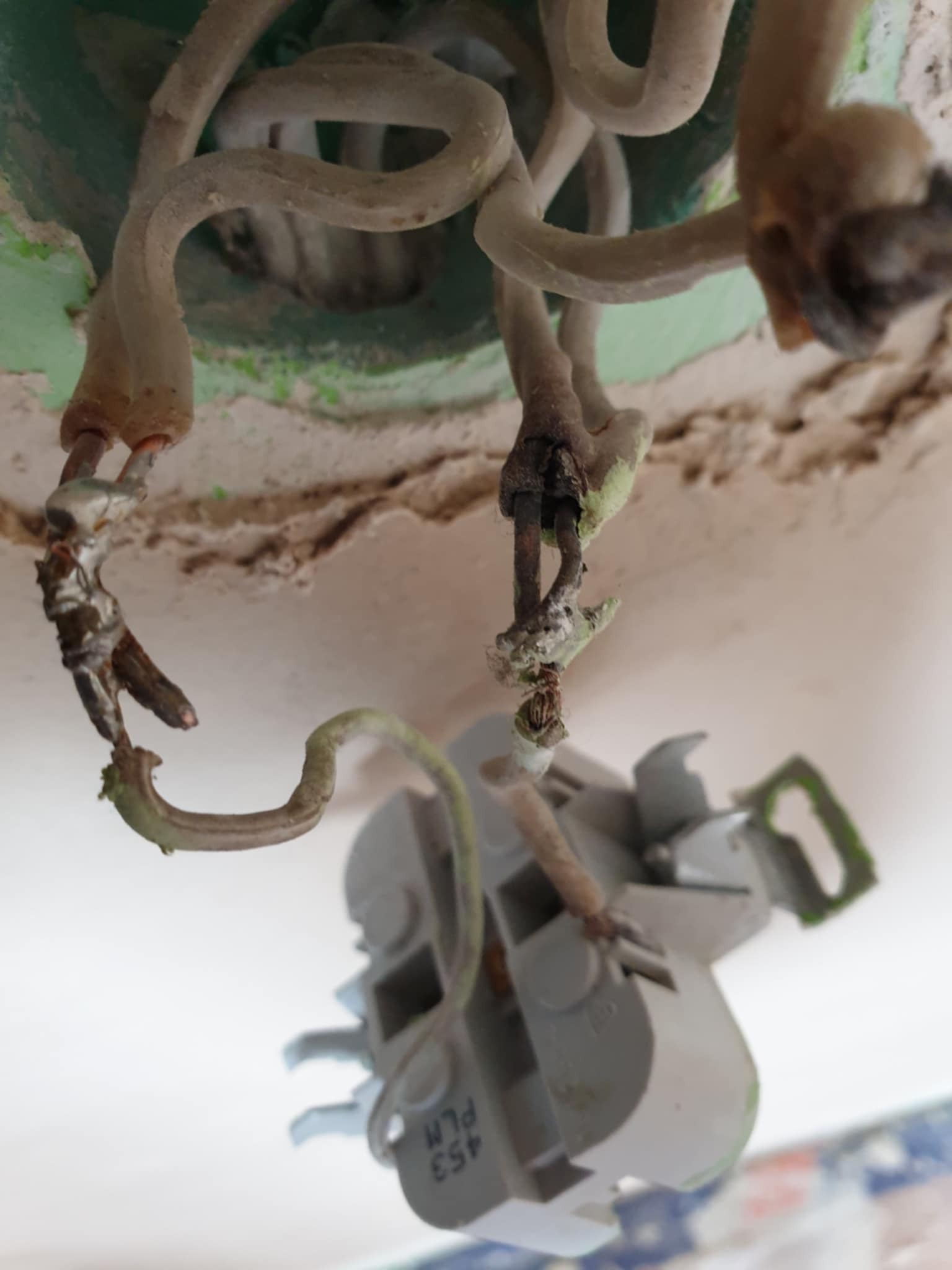 Gniazdo, które potencjalnie mogło być przyczyną pożaru