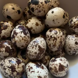 Oferuję sprzedaż jajek przepiórczych z własnej, niedużej hodowli.