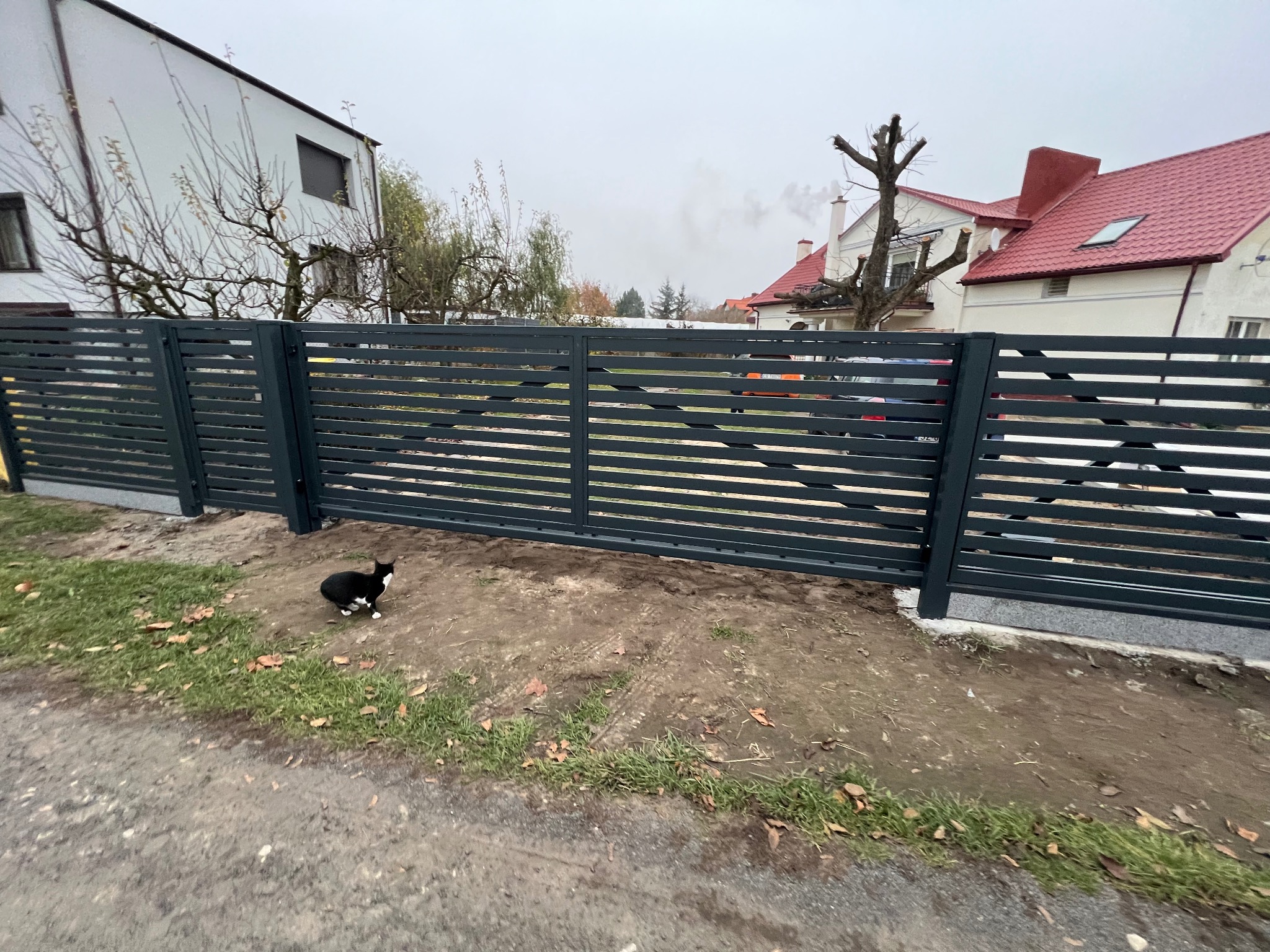Nowoczesne, poziome przęsła ogrodzeniowe w kolorze grafitowym, z widocznym czarno-białym kotem w pobliżu, na tle domów jednorodzinnych w pochmurny dzień.