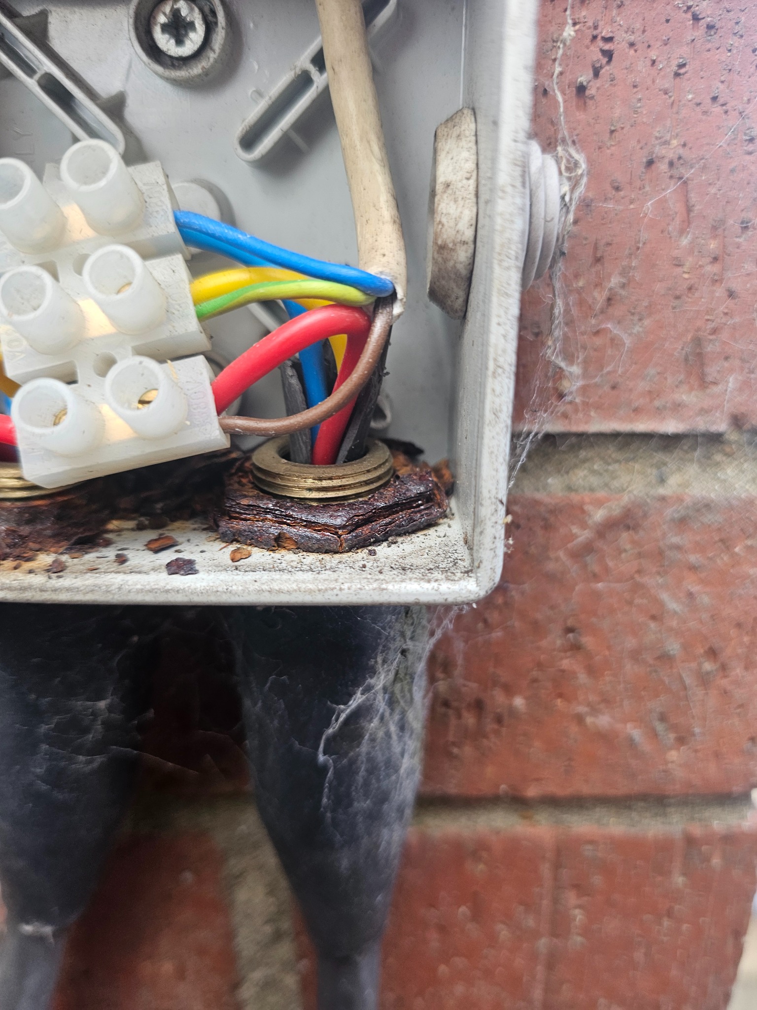 Otwarta puszka elektryczna na ceglanej ścianie, widoczne złącza, kable (niebieski, czerwony, żółty, brązowy) i ślady korozji na metalowych elementach.