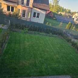 Bo-Masz Piotr Szendel - Profesjonalne Nawadnianie Ogrodu Wejherowo