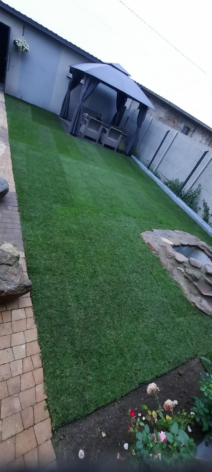 Świeżo ułożona, intensywnie zielona trawa z rolki w ogrodzie, z widocznym gazebem z zasłonami, oczkiem wodnym z kamienia i ścieżką z kostki brukowej.